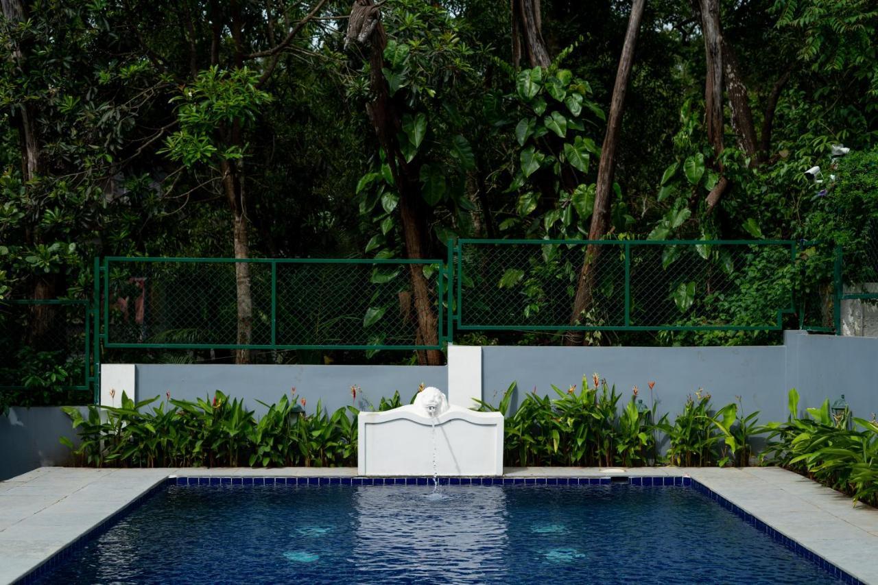 Elivaas 5 Bhk With Pvt Pool, Entertainment Room & Glass House - Bludoor Marmagao Экстерьер фото